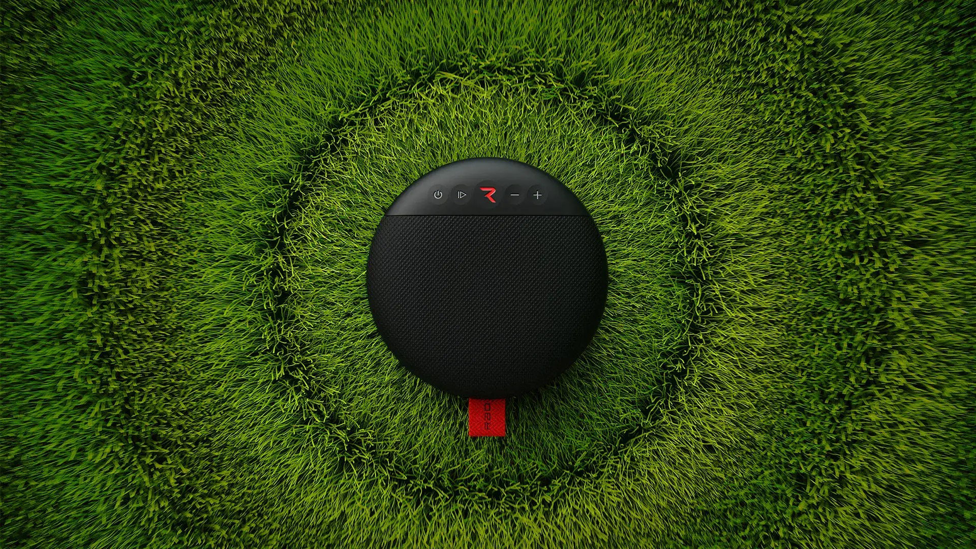 Rad Sound speaker lying on grass, top view